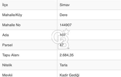 KÜTAHYA SİMAV'DA SATILIK TARLA YATIRIMA UYGUN FIRSAT!