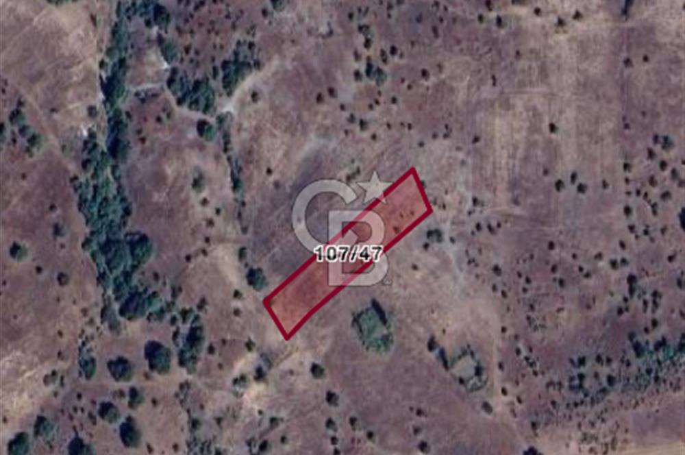 KÜTAHYA SİMAV'DA SATILIK TARLA YATIRIMA UYGUN FIRSAT!