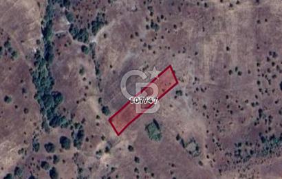 KÜTAHYA SİMAV'DA SATILIK TARLA YATIRIMA UYGUN FIRSAT!