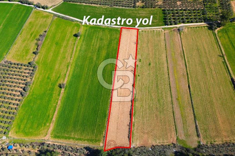 Yatağan Bahçeyaka’da 5.016 m² Kadastro Yollu Tarla