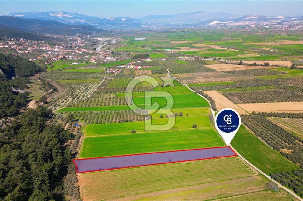 Yatağan Bahçeyaka’da 5.016 m² Kadastro Yollu Tarla