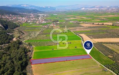 Yatağan Bahçeyaka’da 5.016 m² Kadastro Yollu Tarla