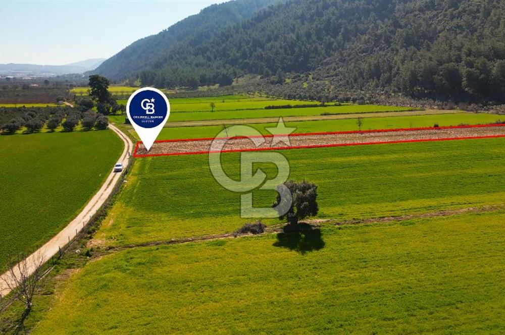 Yatağan Bahçeyaka’da 5.016 m² Kadastro Yollu Tarla