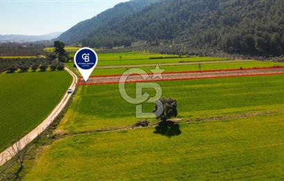 Yatağan Bahçeyaka’da 5.016 m² Kadastro Yollu Tarla