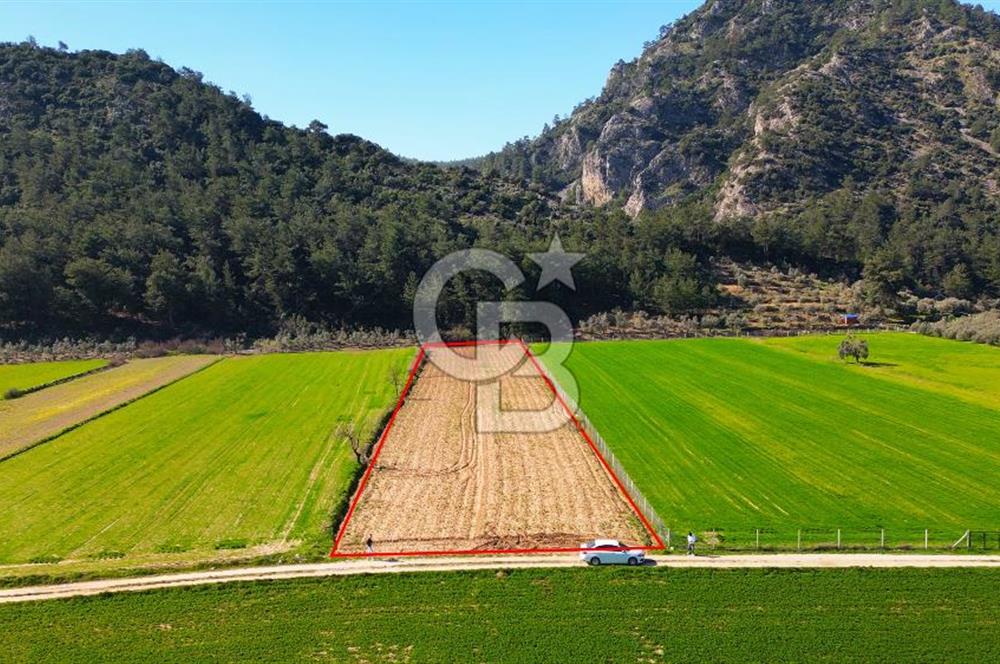Yatağan Bahçeyaka’da 5.016 m² Kadastro Yollu Tarla