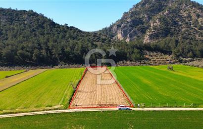 Yatağan Bahçeyaka’da 5.016 m² Kadastro Yollu Tarla