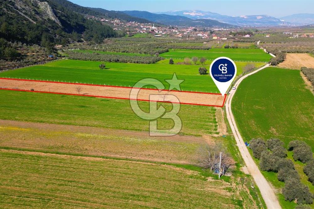 Yatağan Bahçeyaka’da 5.016 m² Kadastro Yollu Tarla