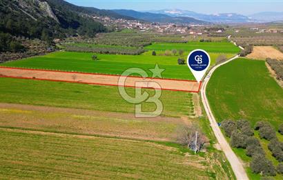 Yatağan Bahçeyaka’da 5.016 m² Kadastro Yollu Tarla