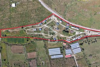 Urla Bademler'de Altyapısı Hazır Satılık Tarla - 1 - 344757