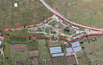 Urla Bademler'de Altyapısı Hazır Satılık Tarla