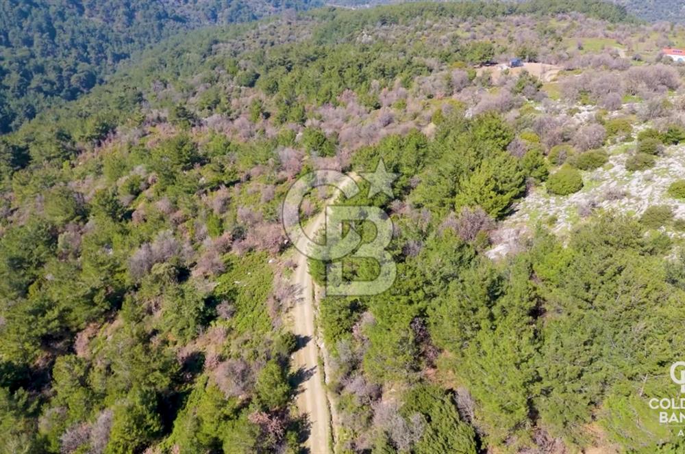 Seferihisar Gödence'de doğal kaynak suyu olan satılık tarla 