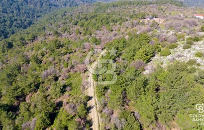Seferihisar Gödence'de doğal kaynak suyu olan satılık tarla 