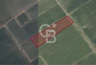 BERGAMA AŞAĞIKIRIKLAR'DA (6246 m²) SATILIK TARLA - 11 - 344866