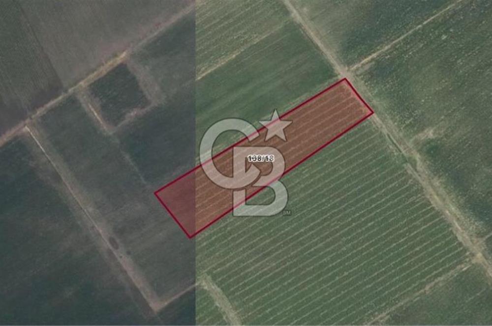 BERGAMA AŞAĞIKIRIKLAR'DA (6246 m²) SATILIK TARLA