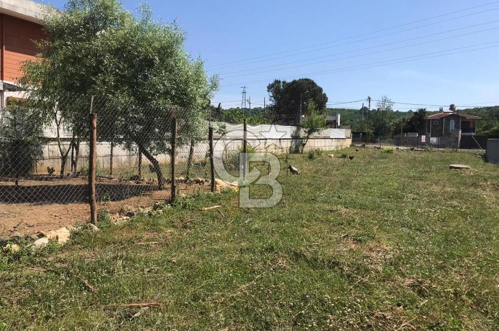 CB'DEN ŞİLE'DE 1100 M² ARSA ÜZERİNDE ORMAN MANZARALI LÜKS VİLLA