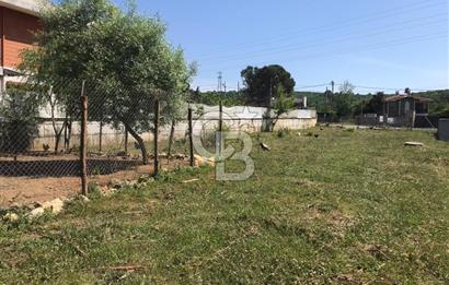 CB'DEN ŞİLE'DE 1100 M² ARSA ÜZERİNDE ORMAN MANZARALI LÜKS VİLLA