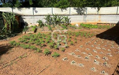 CB'DEN ŞİLE'DE 1100 M² ARSA ÜZERİNDE ORMAN MANZARALI LÜKS VİLLA