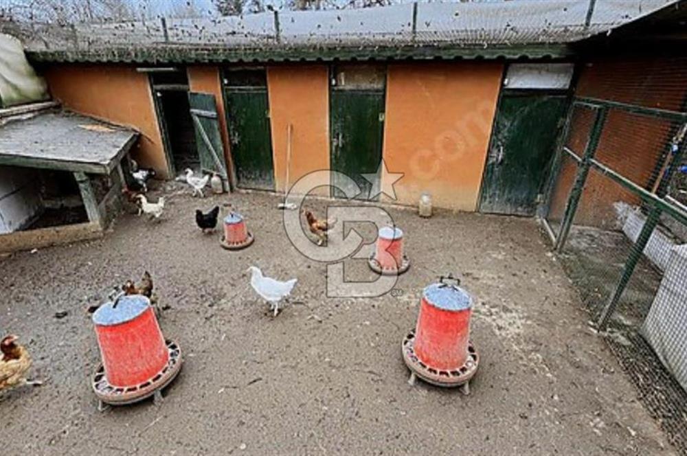 CB'DEN ŞİLE'DE 1100 M² ARSA ÜZERİNDE ORMAN MANZARALI LÜKS VİLLA