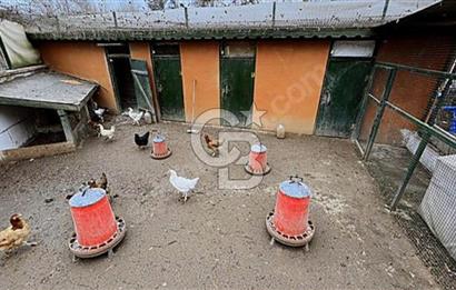 CB'DEN ŞİLE'DE 1100 M² ARSA ÜZERİNDE ORMAN MANZARALI LÜKS VİLLA