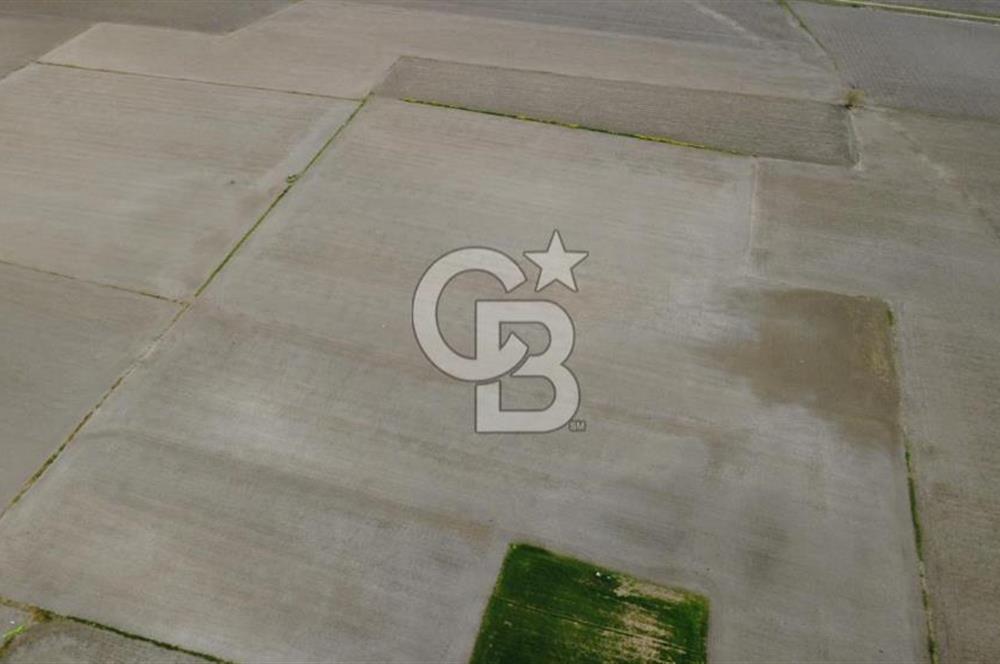 BERGAMA AŞAĞIKIRIKLAR'DA (6246 m²) SATILIK TARLA