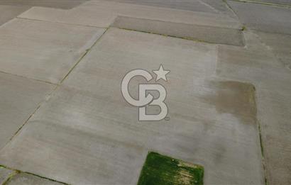 BERGAMA AŞAĞIKIRIKLAR'DA (6246 m²) SATILIK TARLA