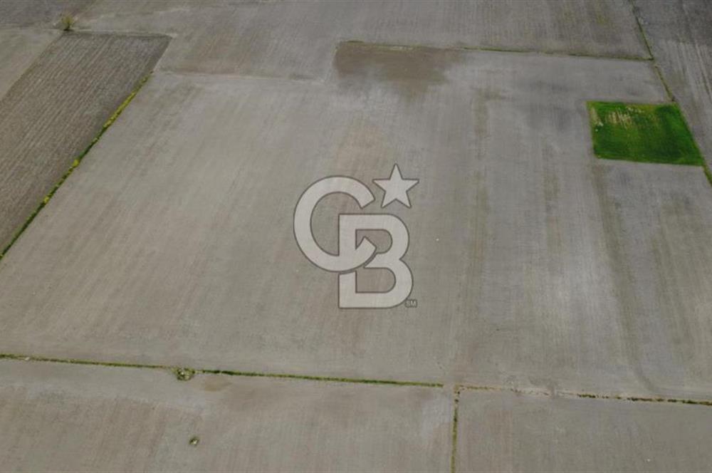 BERGAMA AŞAĞIKIRIKLAR'DA (6246 m²) SATILIK TARLA