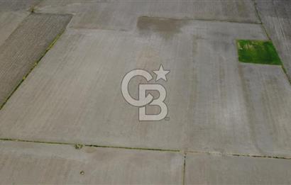 BERGAMA AŞAĞIKIRIKLAR'DA (6246 m²) SATILIK TARLA