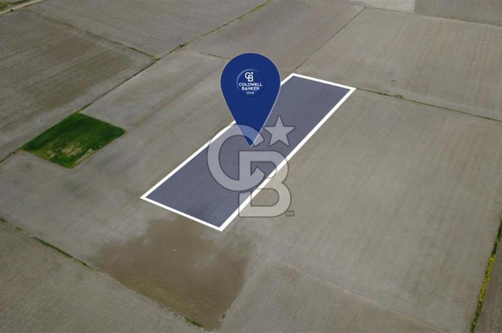 BERGAMA AŞAĞIKIRIKLAR'DA (6246 m²) SATILIK TARLA