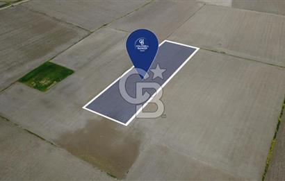 BERGAMA AŞAĞIKIRIKLAR'DA (6246 m²) SATILIK TARLA