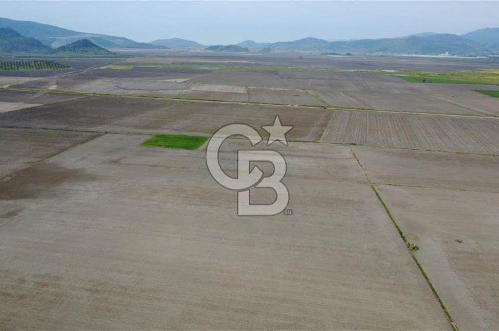 BERGAMA AŞAĞIKIRIKLAR'DA (6246 m²) SATILIK TARLA