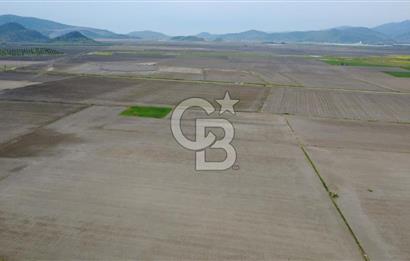 BERGAMA AŞAĞIKIRIKLAR'DA (6246 m²) SATILIK TARLA