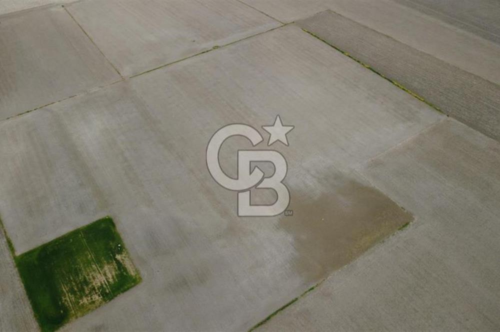 BERGAMA AŞAĞIKIRIKLAR'DA (6246 m²) SATILIK TARLA