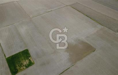 BERGAMA AŞAĞIKIRIKLAR'DA (6246 m²) SATILIK TARLA