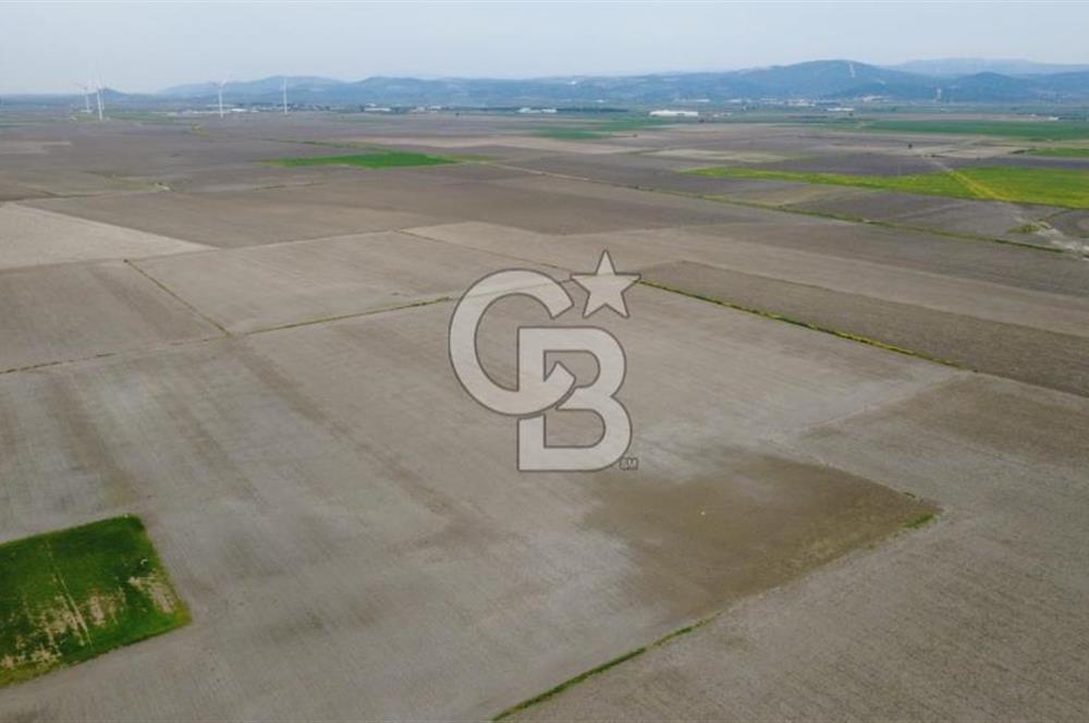 BERGAMA AŞAĞIKIRIKLAR'DA (6246 m²) SATILIK TARLA