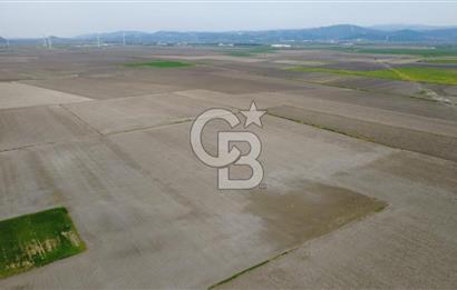BERGAMA AŞAĞIKIRIKLAR'DA (6246 m²) SATILIK TARLA