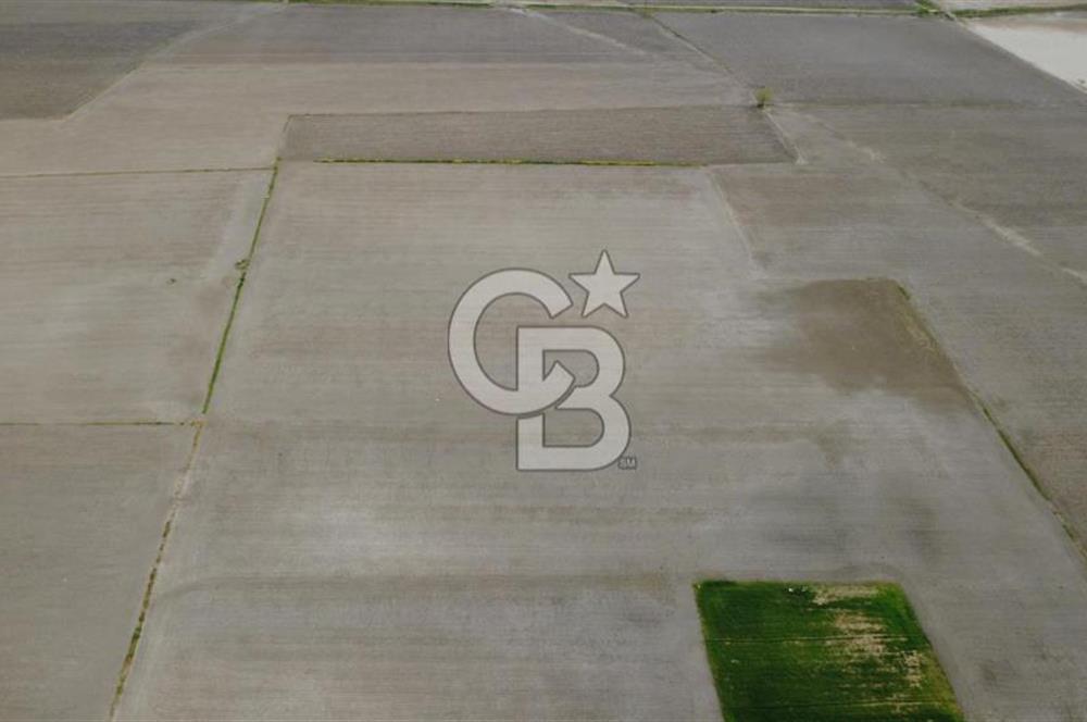 BERGAMA AŞAĞIKIRIKLAR'DA (6246 m²) SATILIK TARLA