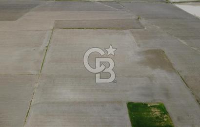 BERGAMA AŞAĞIKIRIKLAR'DA (6246 m²) SATILIK TARLA