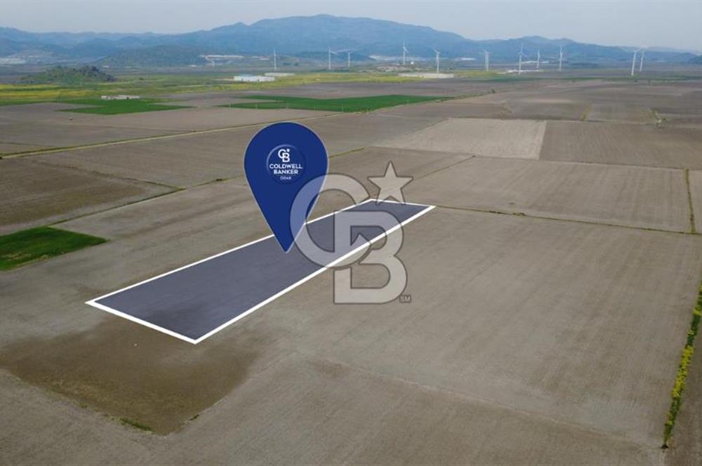 BERGAMA AŞAĞIKIRIKLAR'DA (6246 m²) SATILIK TARLA