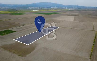 BERGAMA AŞAĞIKIRIKLAR'DA (6246 m²) SATILIK TARLA