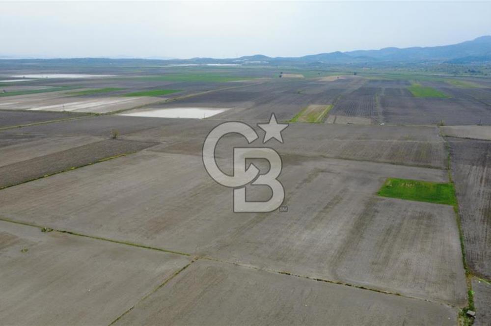 BERGAMA AŞAĞIKIRIKLAR'DA (6246 m²) SATILIK TARLA