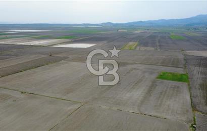 BERGAMA AŞAĞIKIRIKLAR'DA (6246 m²) SATILIK TARLA