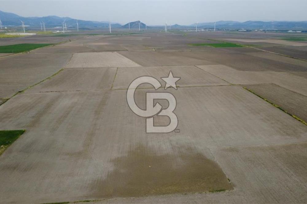 BERGAMA AŞAĞIKIRIKLAR'DA (6246 m²) SATILIK TARLA