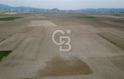 BERGAMA AŞAĞIKIRIKLAR'DA (6246 m²) SATILIK TARLA