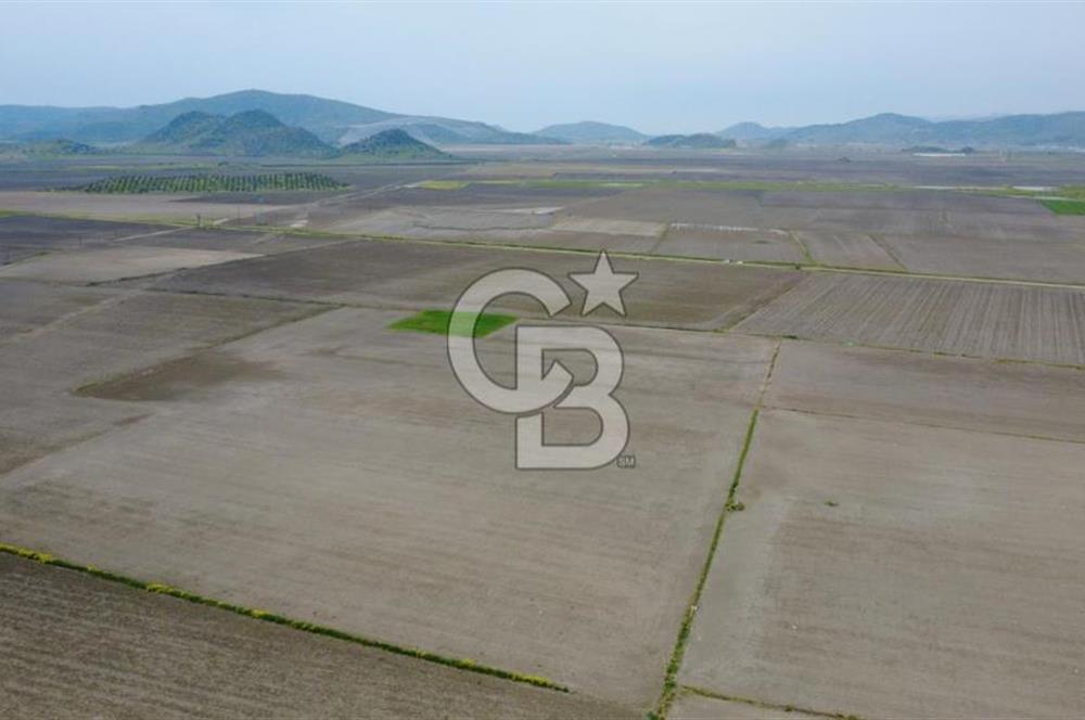 BERGAMA AŞAĞIKIRIKLAR'DA (6246 m²) SATILIK TARLA