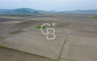 BERGAMA AŞAĞIKIRIKLAR'DA (6246 m²) SATILIK TARLA