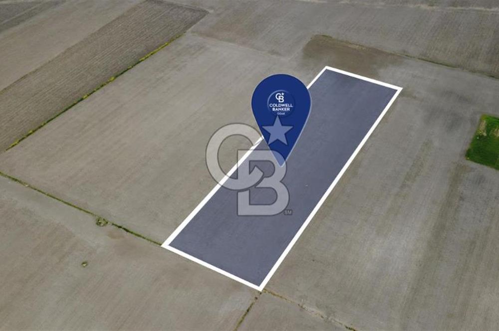 BERGAMA AŞAĞIKIRIKLAR'DA (6246 m²) SATILIK TARLA