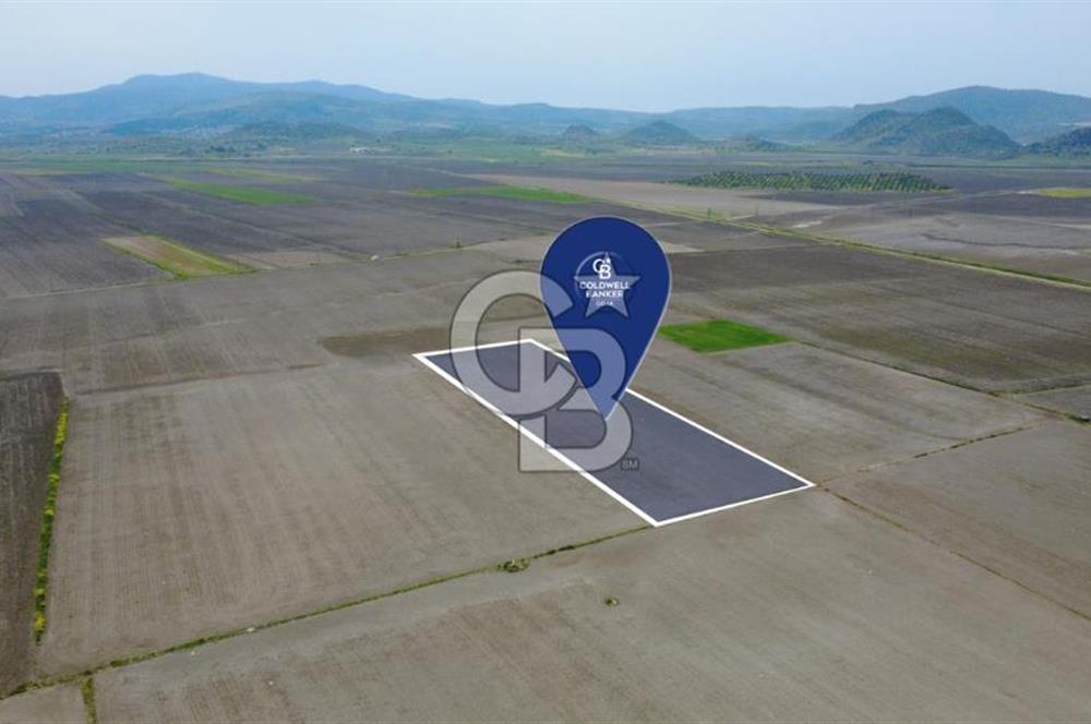 BERGAMA AŞAĞIKIRIKLAR'DA (6246 m²) SATILIK TARLA