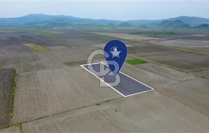 BERGAMA AŞAĞIKIRIKLAR'DA (6246 m²) SATILIK TARLA