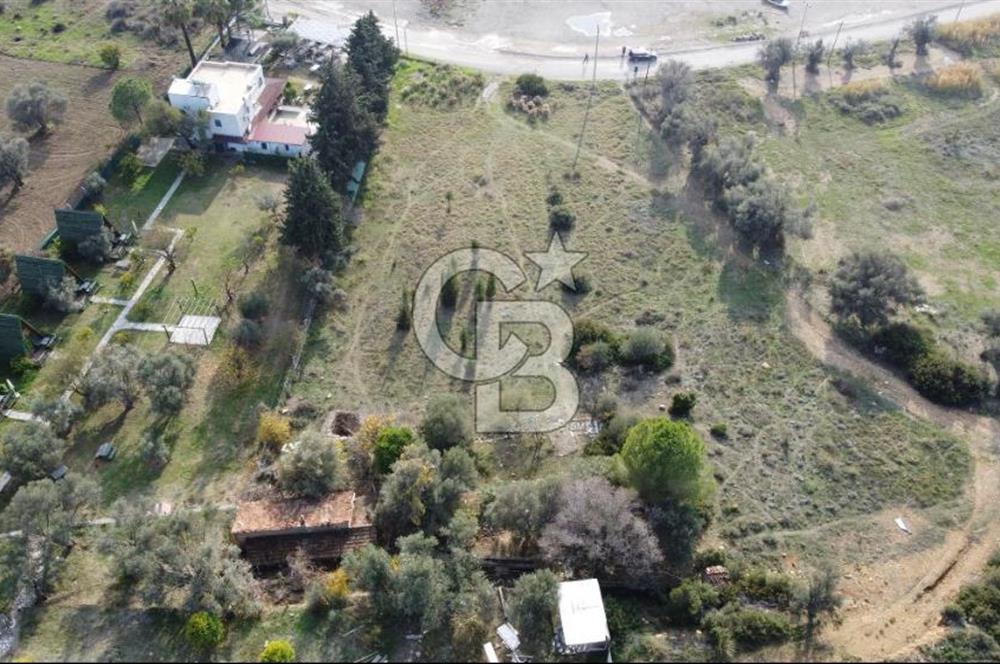 Seferihisar Sığacık da Denize Sıfır Günübirlik Turizm Tesis Alan