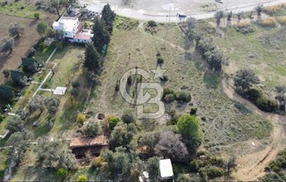 Seferihisar Sığacık da Denize Sıfır Günübirlik Turizm Tesis Alan